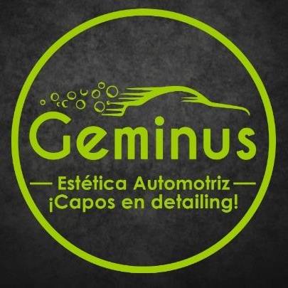 Geminus estetica automotriz